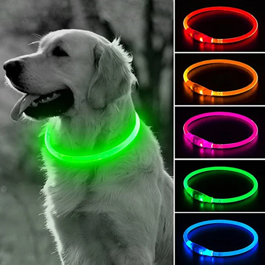 GlowSafe Pet Collar