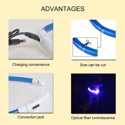 GlowSafe Pet Collar
