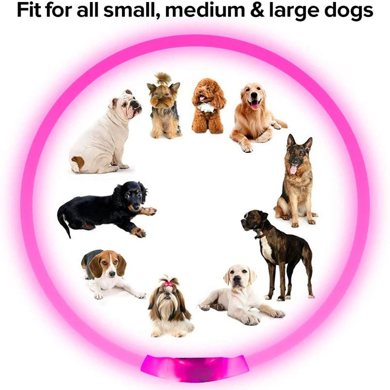 GlowSafe Pet Collar