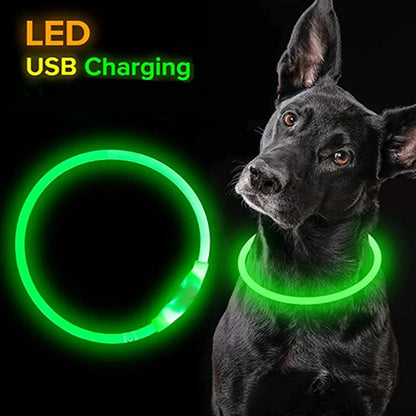 GlowSafe Pet Collar