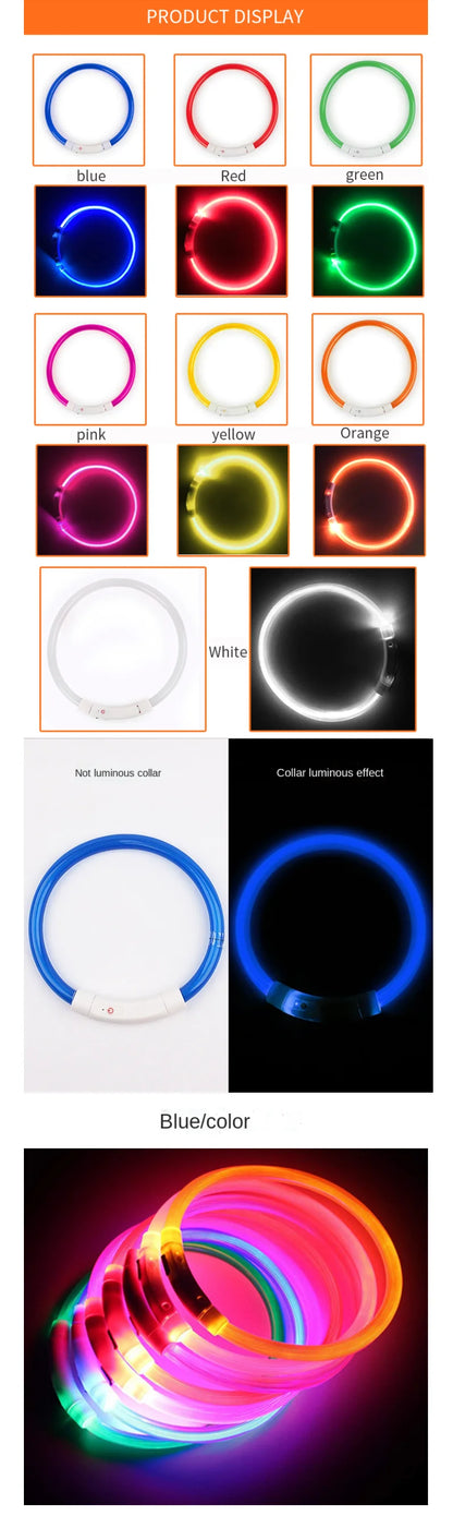 GlowSafe Pet Collar