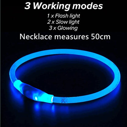GlowSafe Pet Collar
