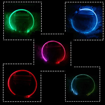 GlowSafe Pet Collar